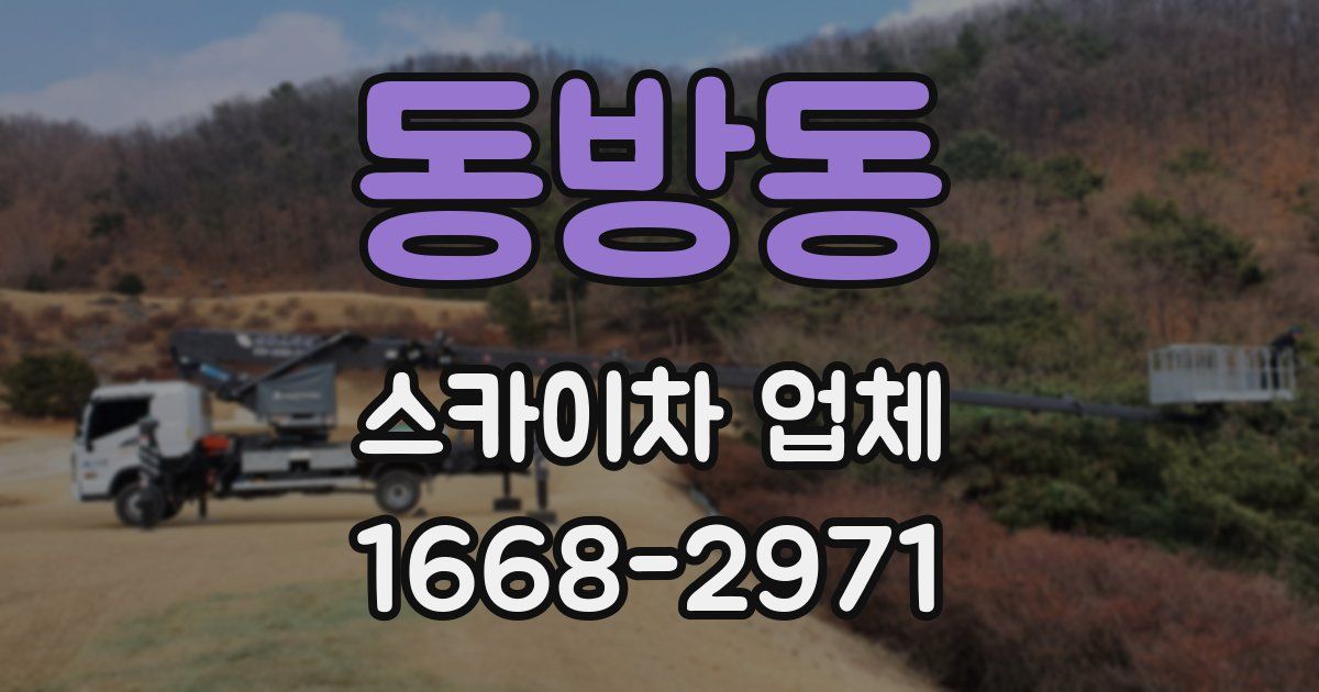동방동 스카이차 업체