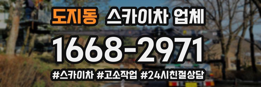 도지동 스카이차 업체