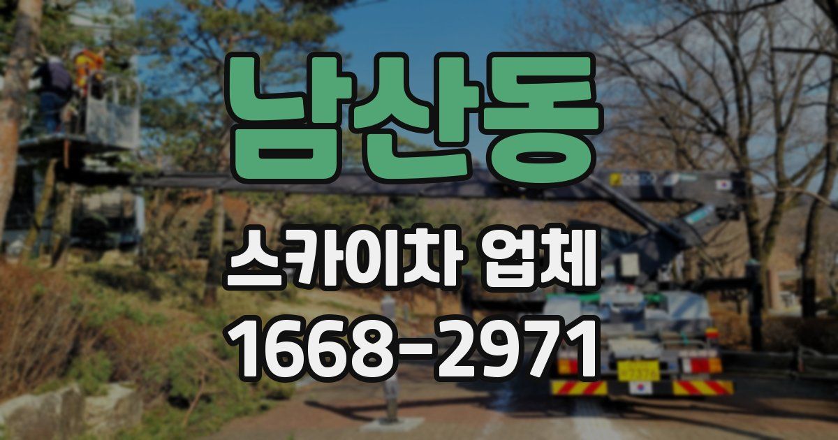 남산동 스카이차 업체