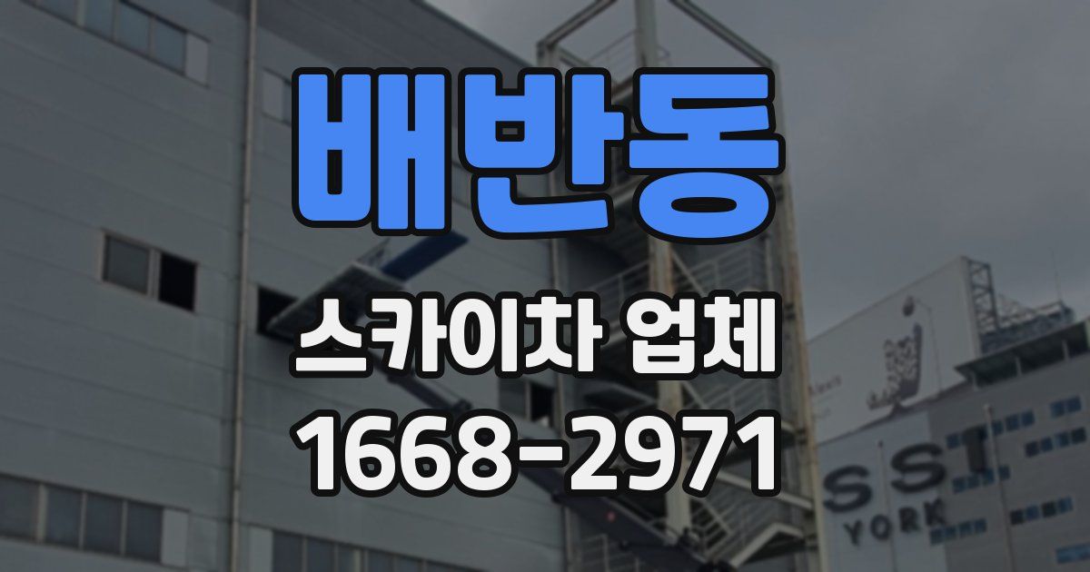 배반동 스카이차 업체