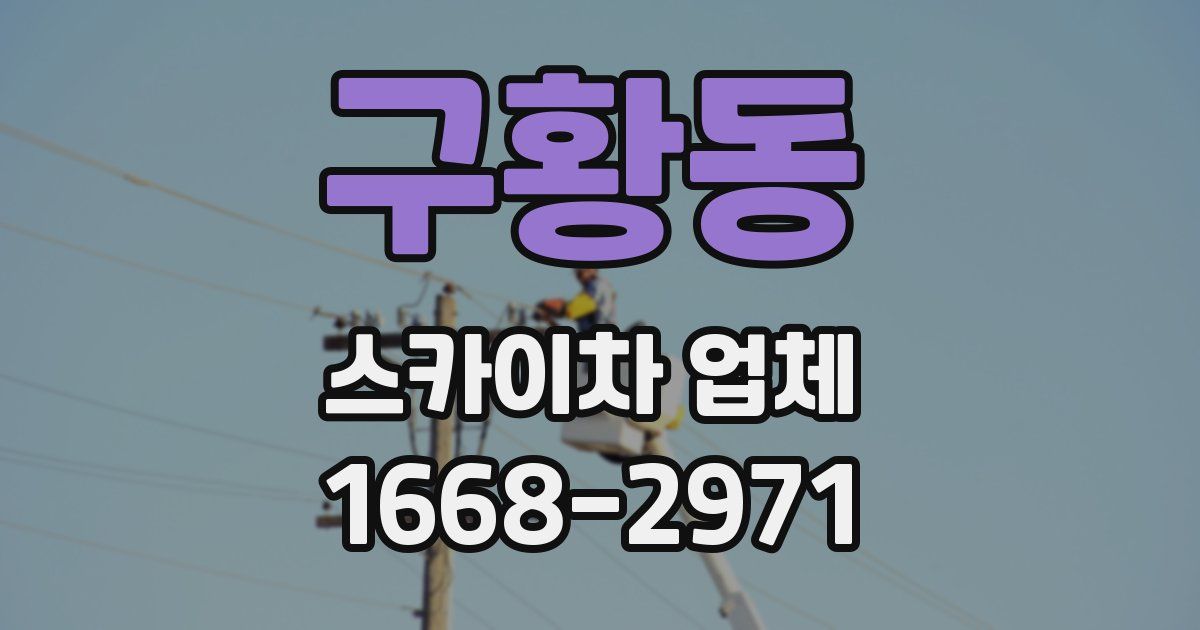 구황동 스카이차 업체