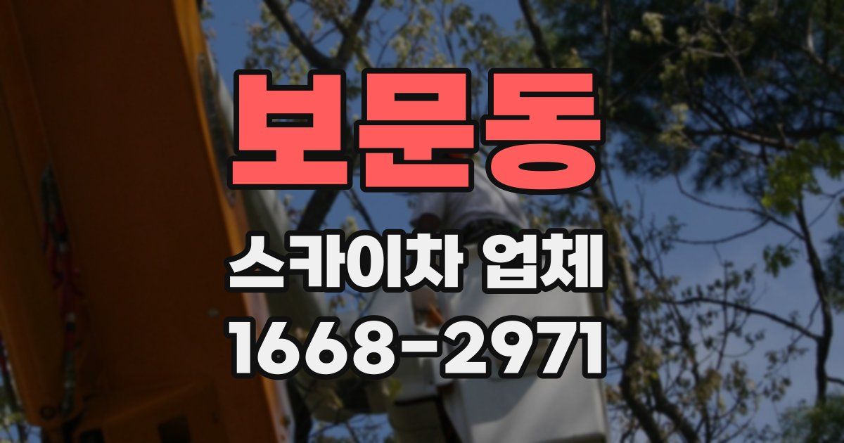 보문동 스카이차 업체