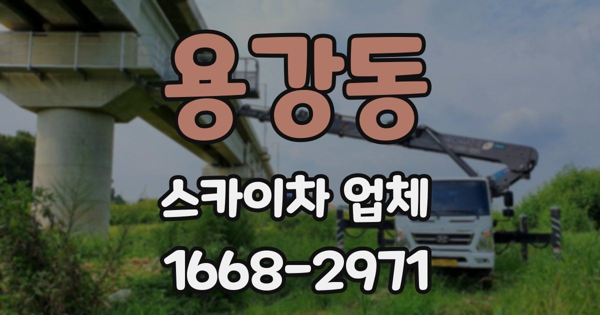용강동 스카이차 업체