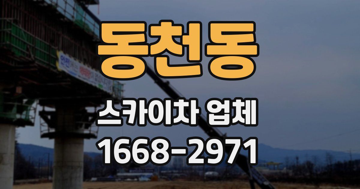동천동 스카이차 업체