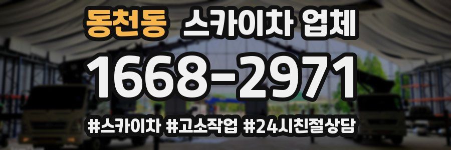 동천동 스카이차 업체
