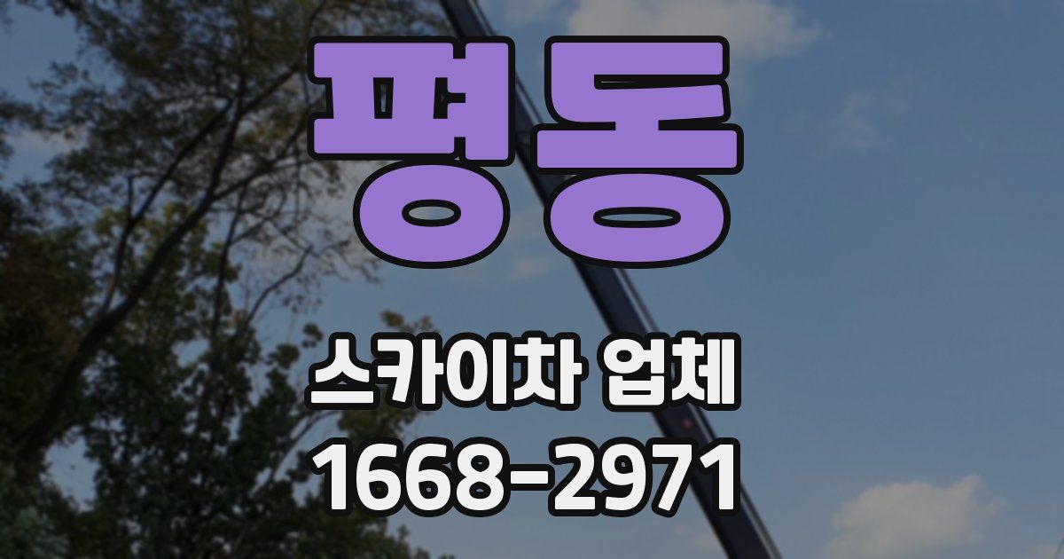 평동 스카이차 업체