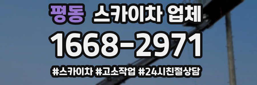 평동 스카이차 업체
