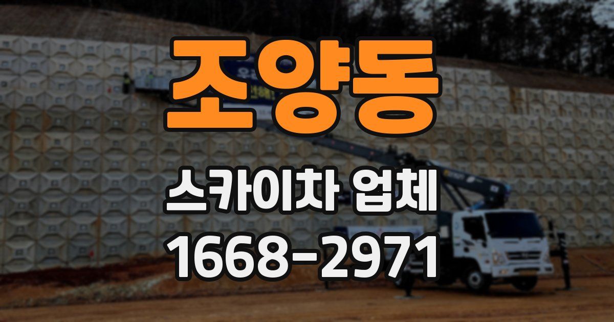 조양동 스카이차 업체