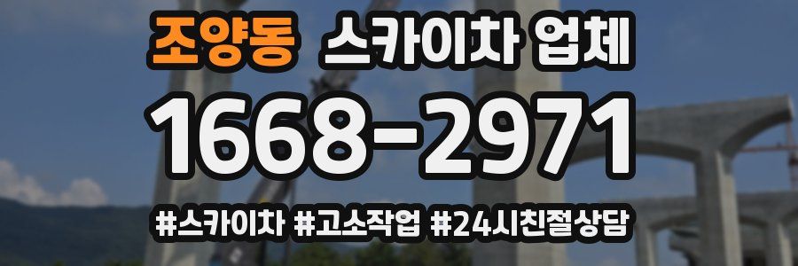 조양동 스카이차 업체