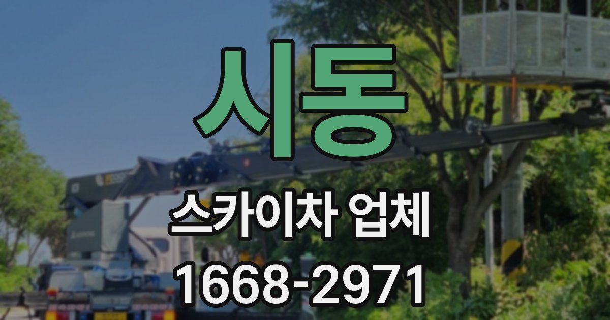 시동 스카이차 업체