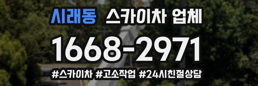시래동 스카이차 업체