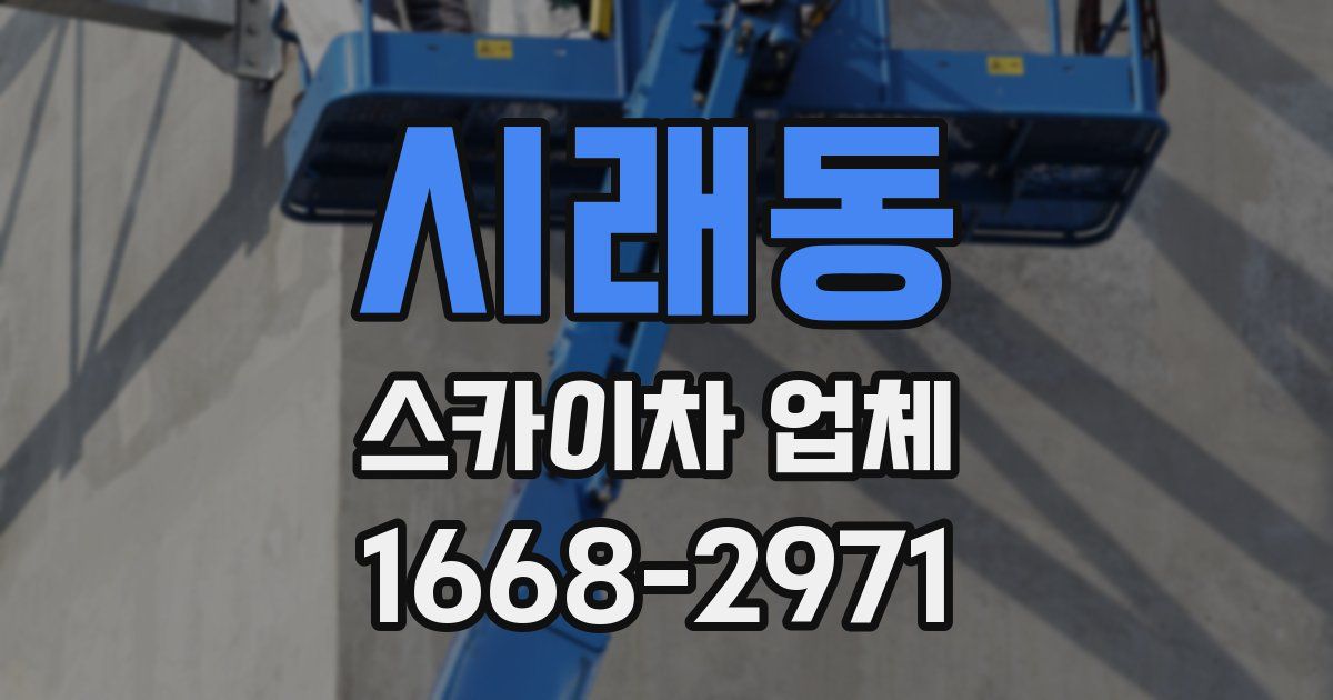 시래동 스카이차 업체