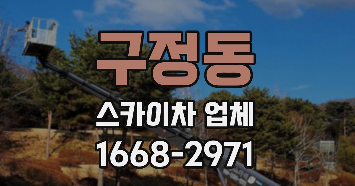 구정동 스카이차 업체