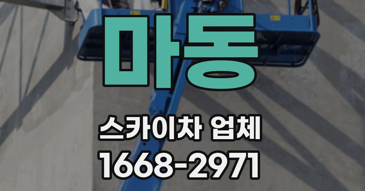 마동 스카이차 업체