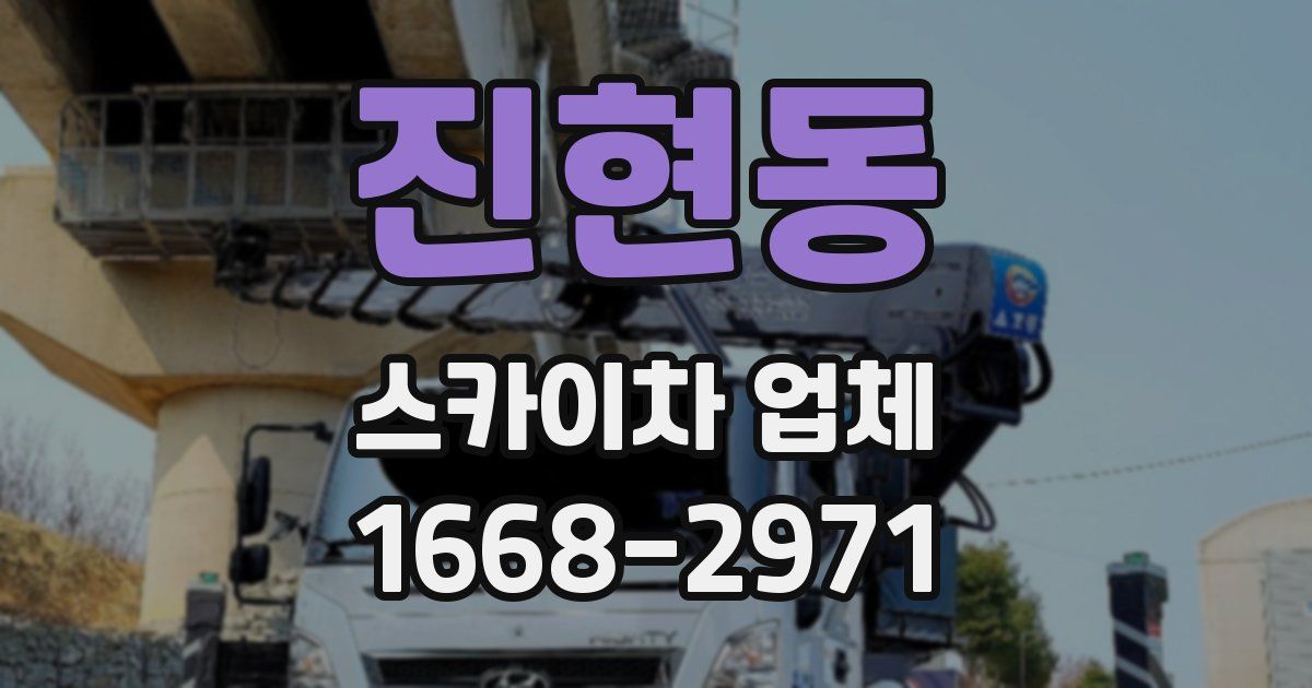 진현동 스카이차 업체