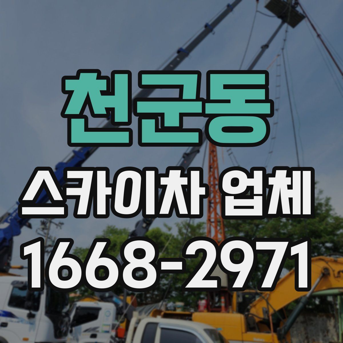 천군동 스카이차 업체