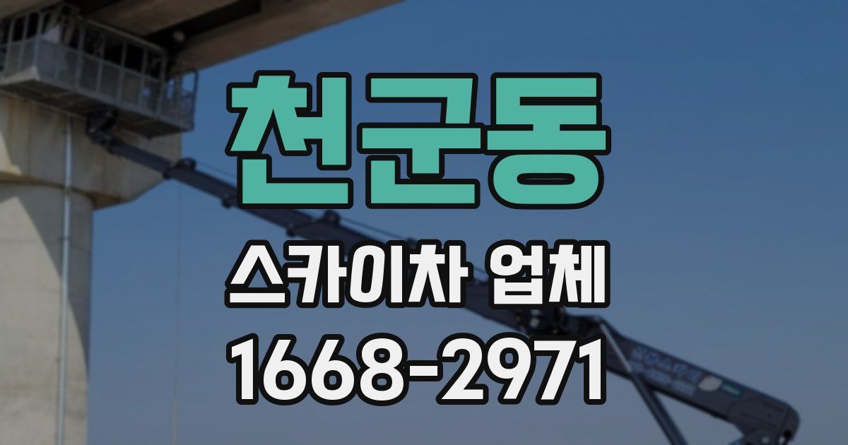 천군동 스카이차 업체