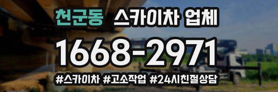 천군동 스카이차 업체