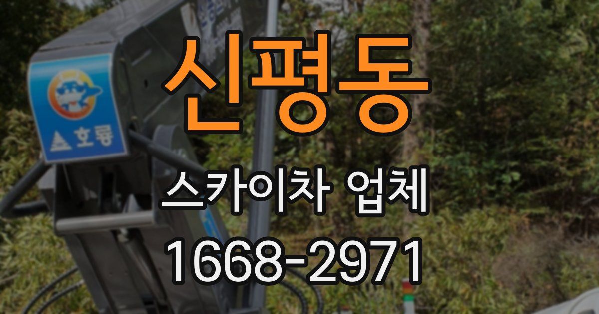 신평동 스카이차 업체