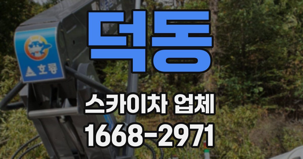 덕동 스카이차 업체