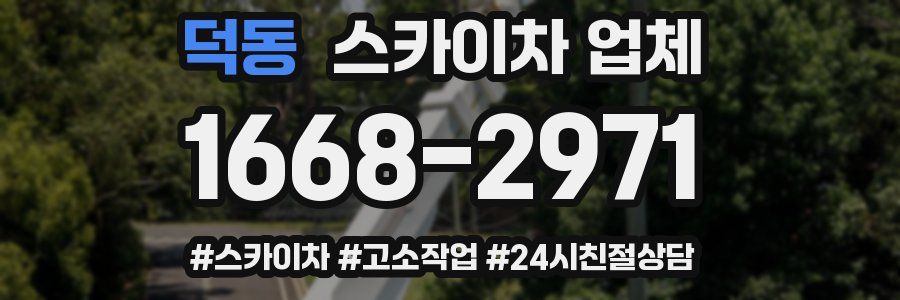 덕동 스카이차 업체