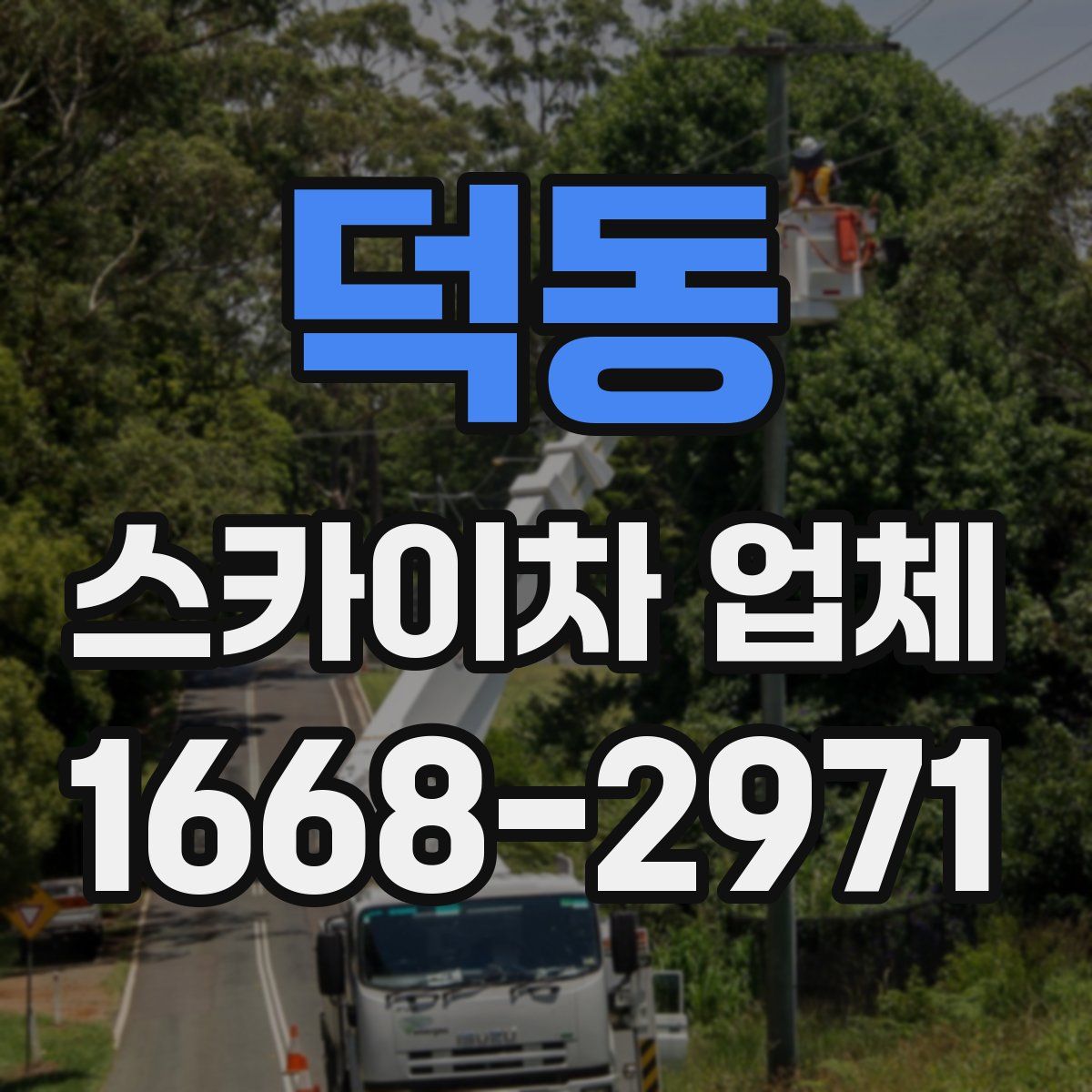 덕동 스카이차 업체