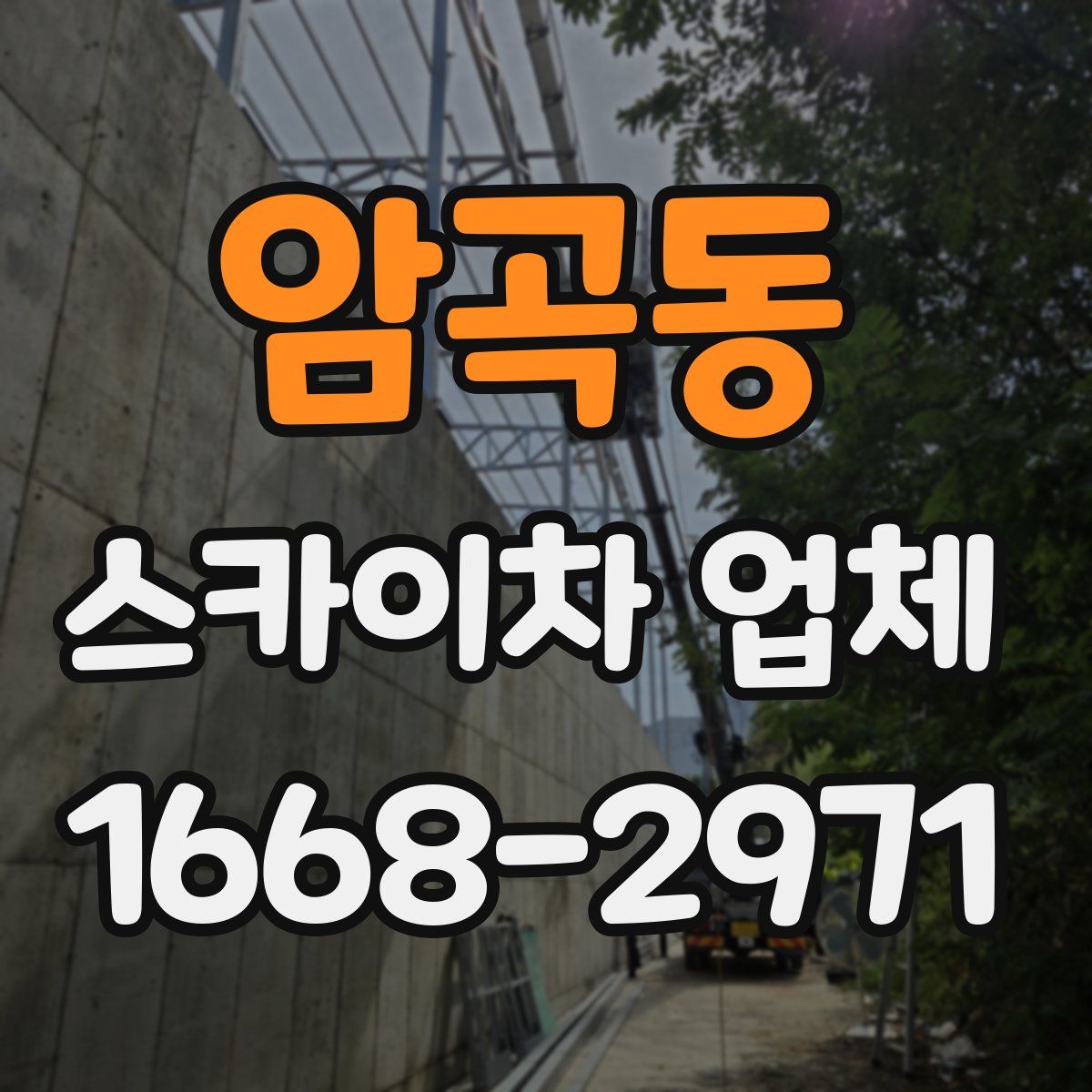 암곡동 스카이차 업체