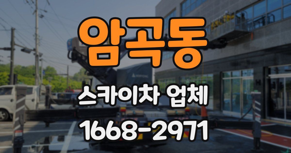 암곡동 스카이차 업체