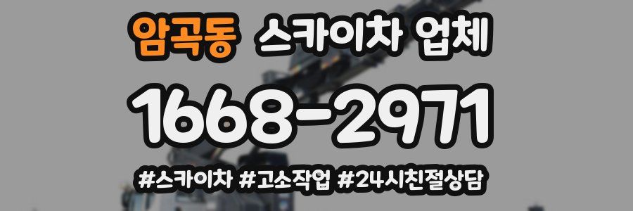 암곡동 스카이차 업체