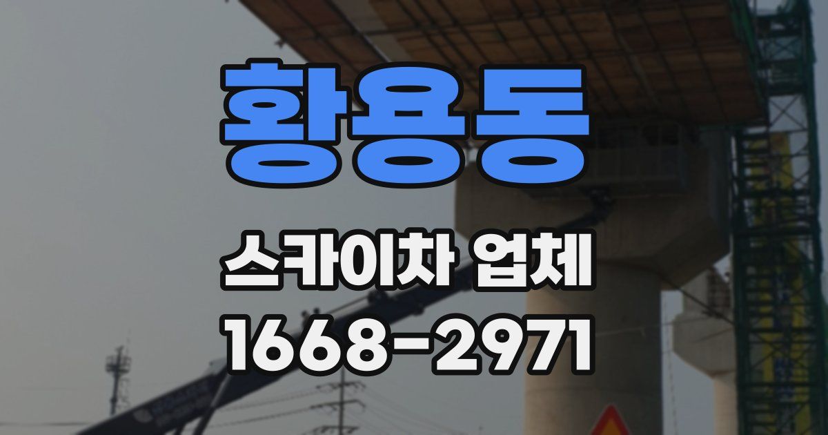 황용동 스카이차 업체