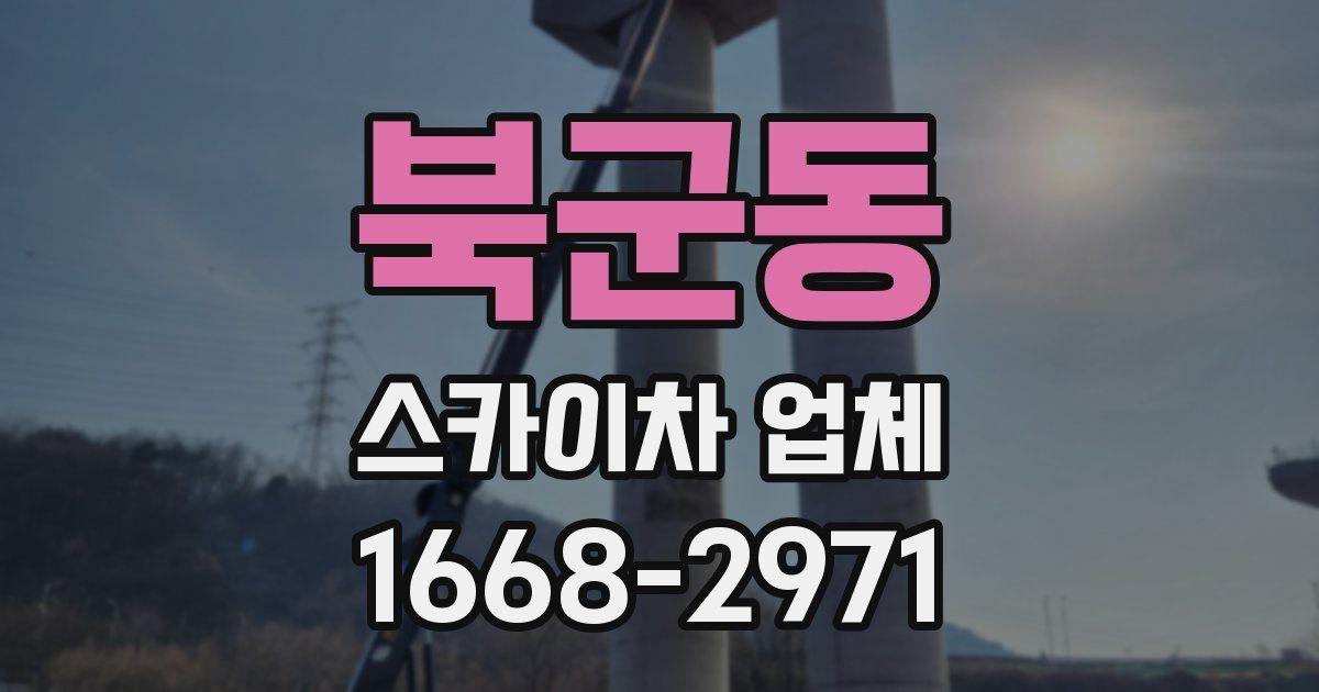 북군동 스카이차 업체