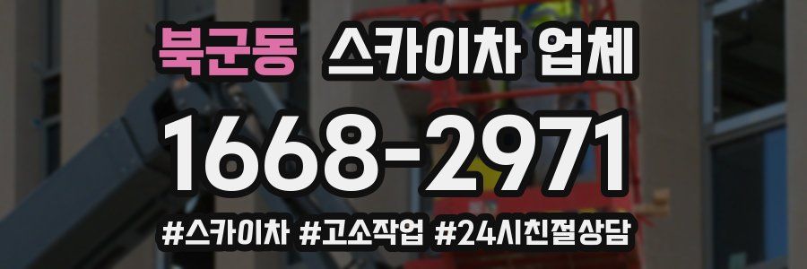 북군동 스카이차 업체