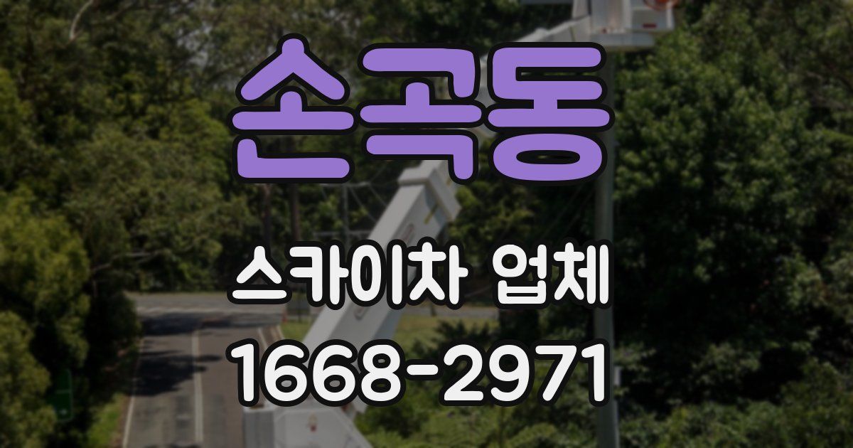 손곡동 스카이차 업체