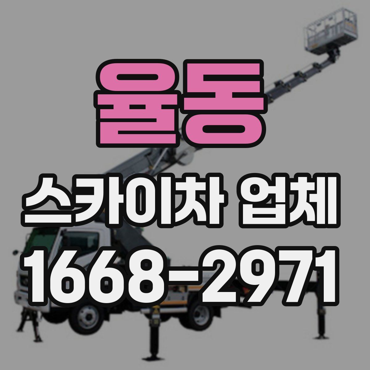 율동 스카이차 업체