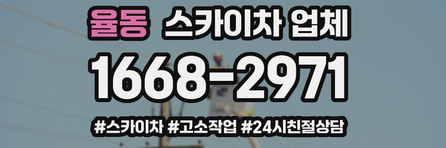 율동 스카이차 업체