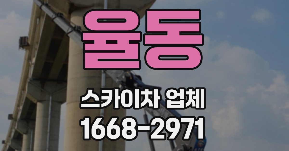 율동 스카이차 업체