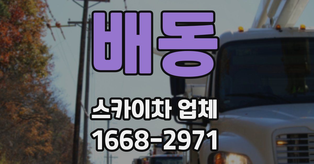 배동 스카이차 업체