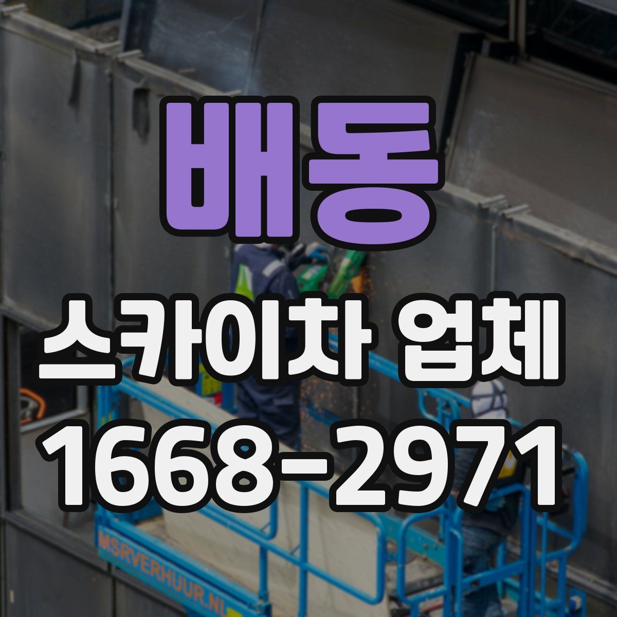 배동 스카이차 업체