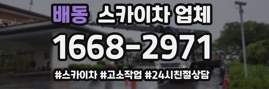 배동 스카이차 업체