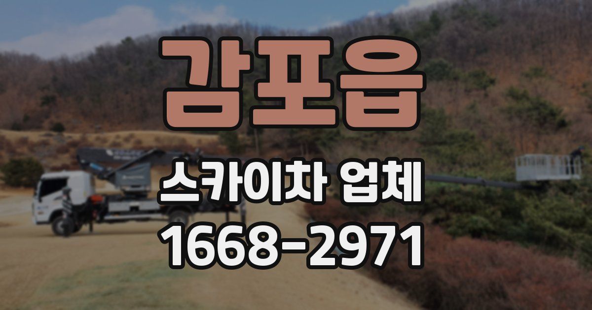 감포읍 스카이차 업체