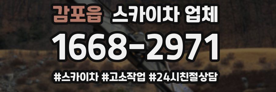 감포읍 스카이차 업체