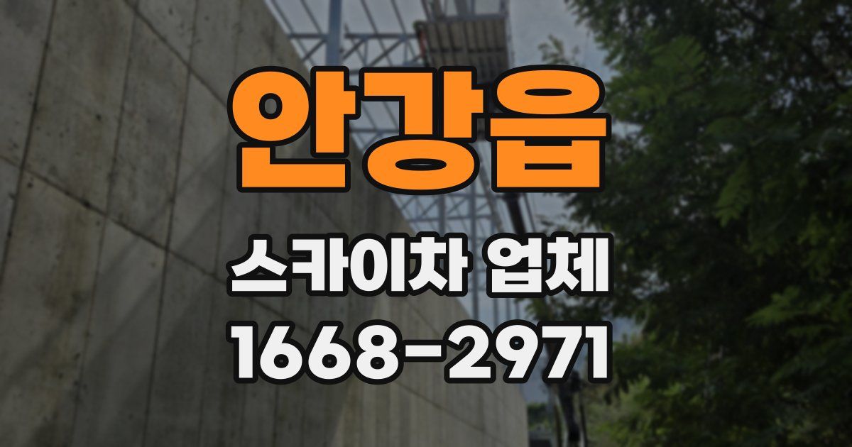 안강읍 스카이차 업체