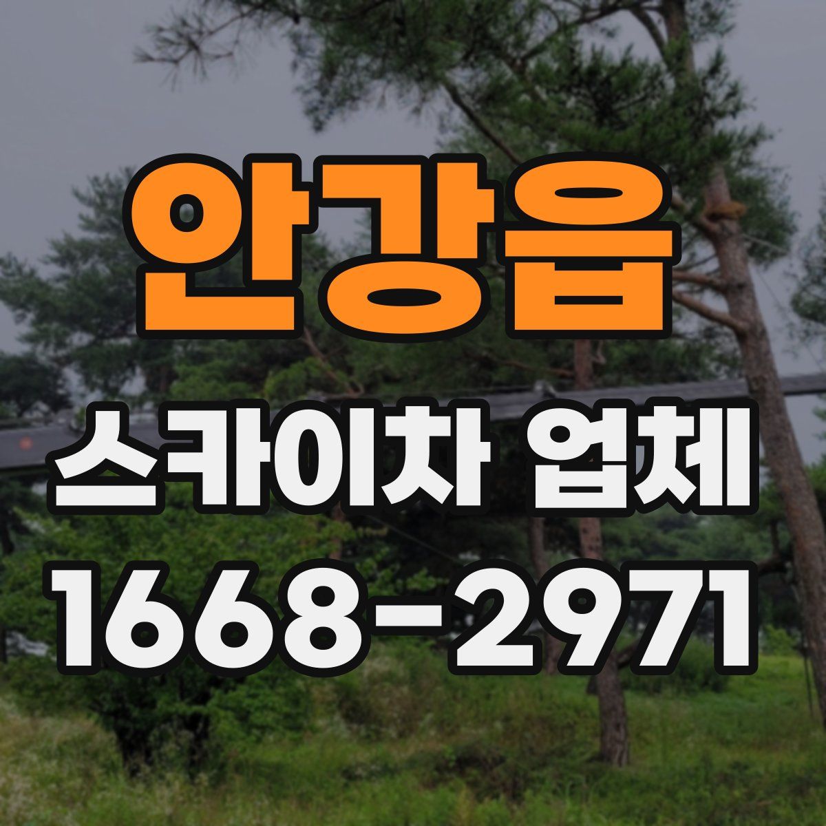 안강읍 스카이차 업체