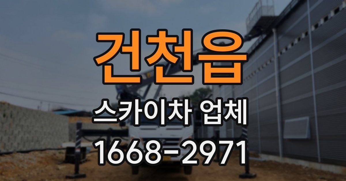 건천읍 스카이차 업체