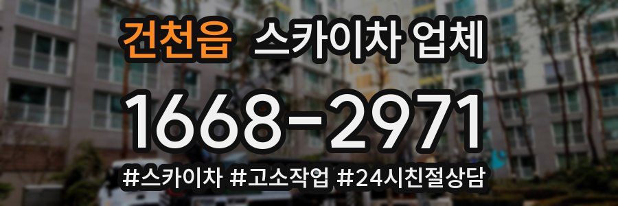 건천읍 스카이차 업체