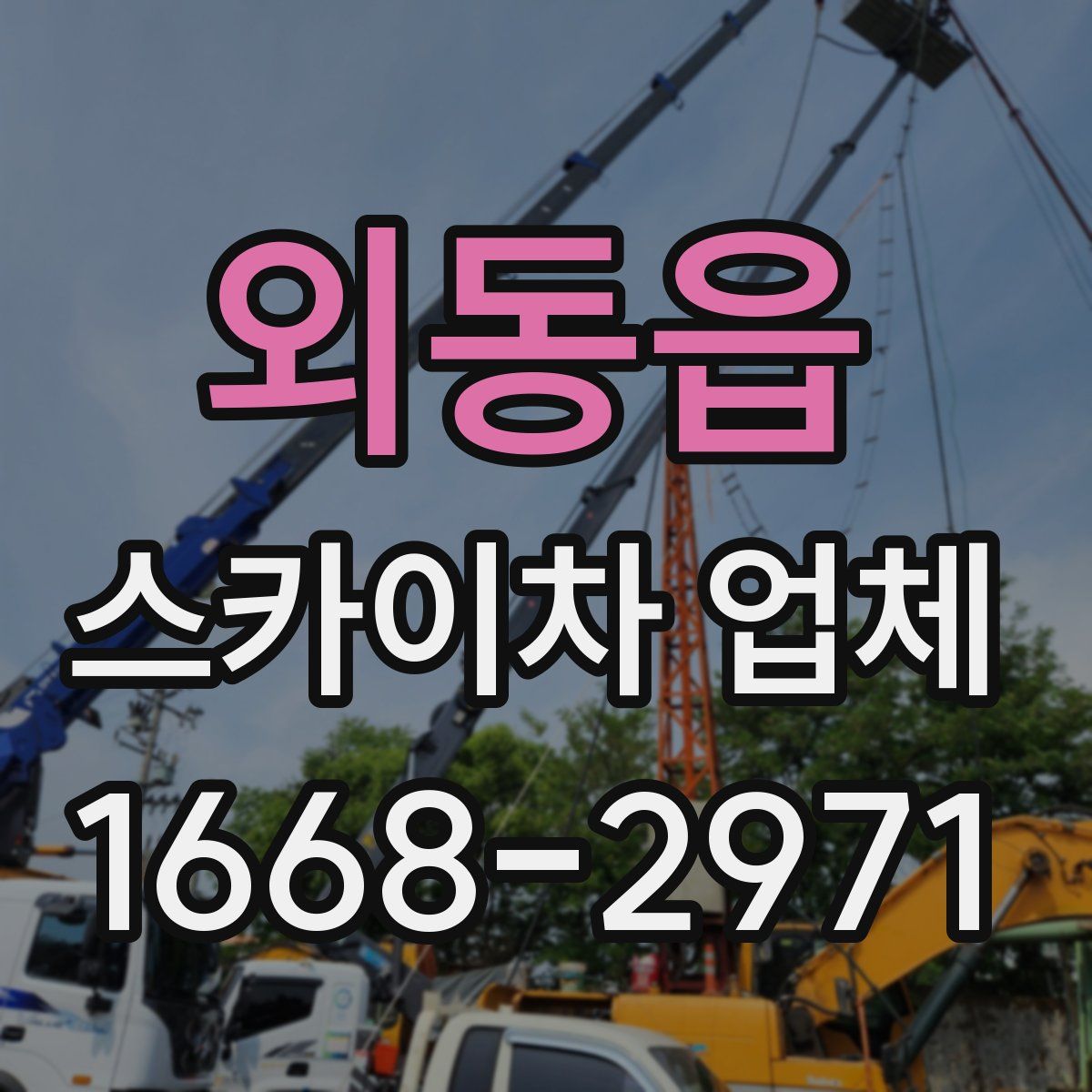 외동읍 스카이차 업체