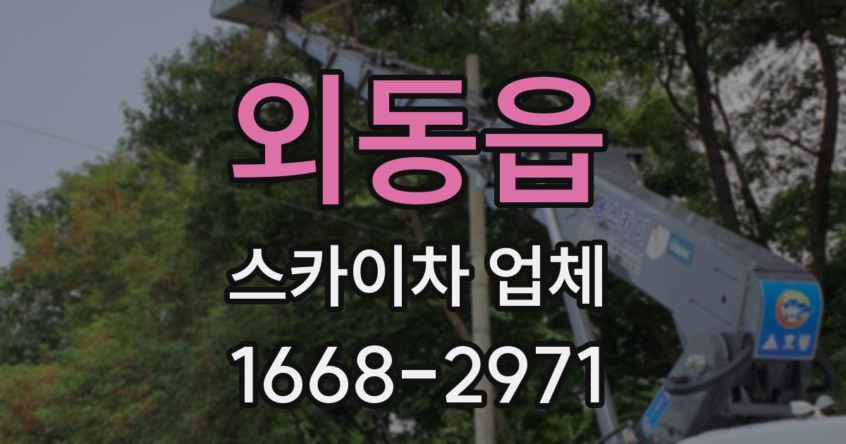 외동읍 스카이차 업체