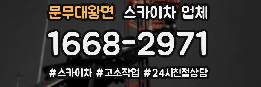 문무대왕면 스카이차 업체