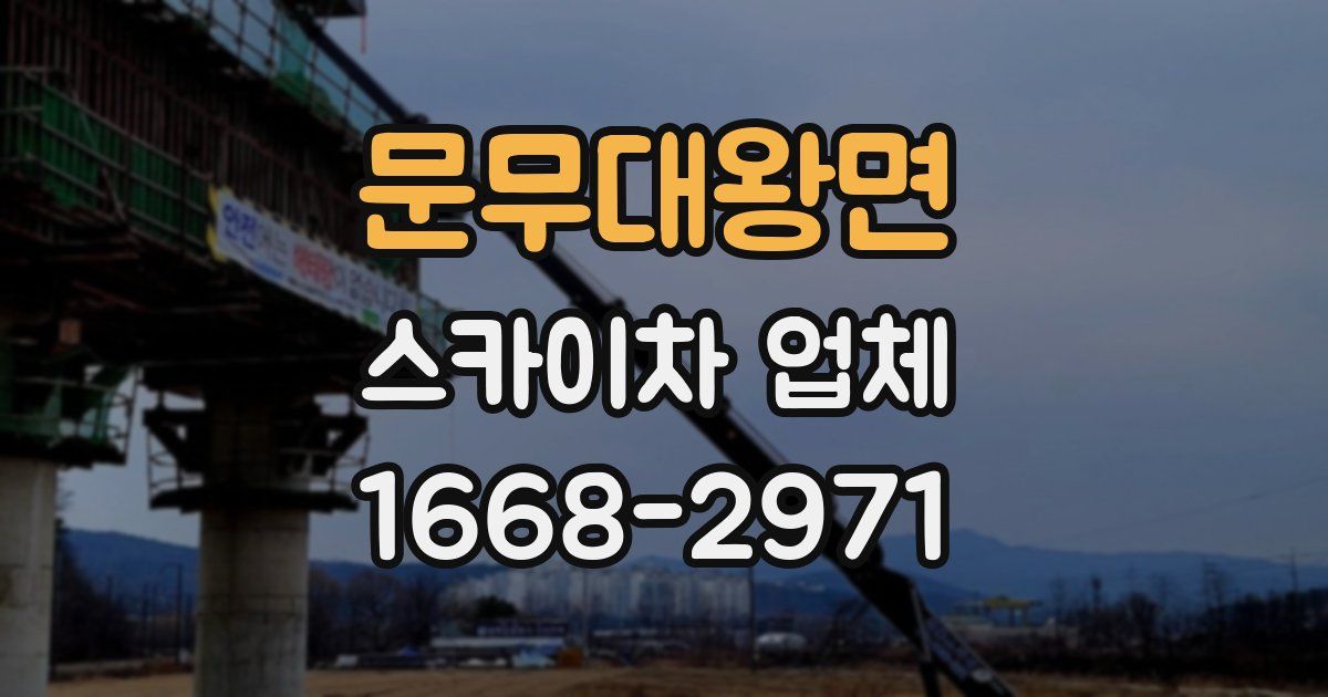 문무대왕면 스카이차 업체