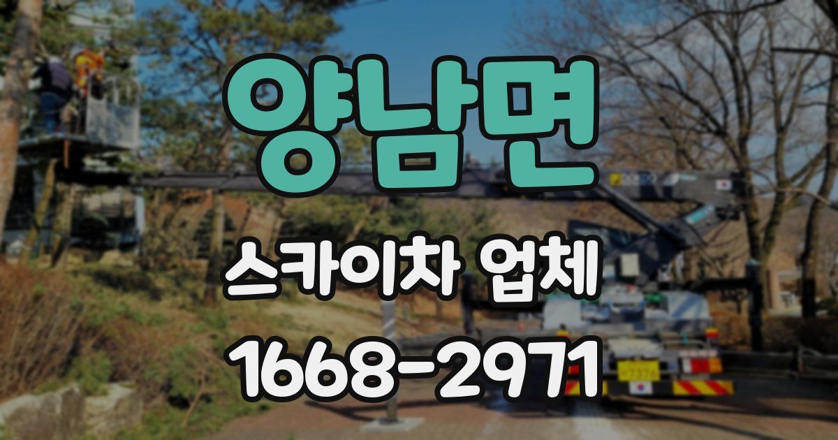 양남면 스카이차 업체